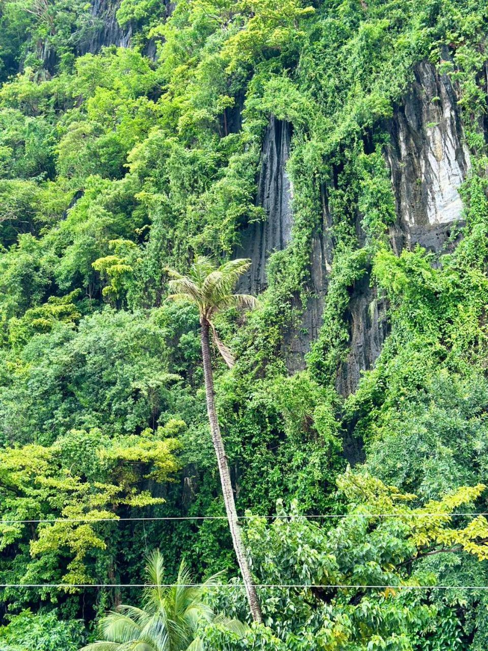 Mayad El Nido Inn Kültér fotó